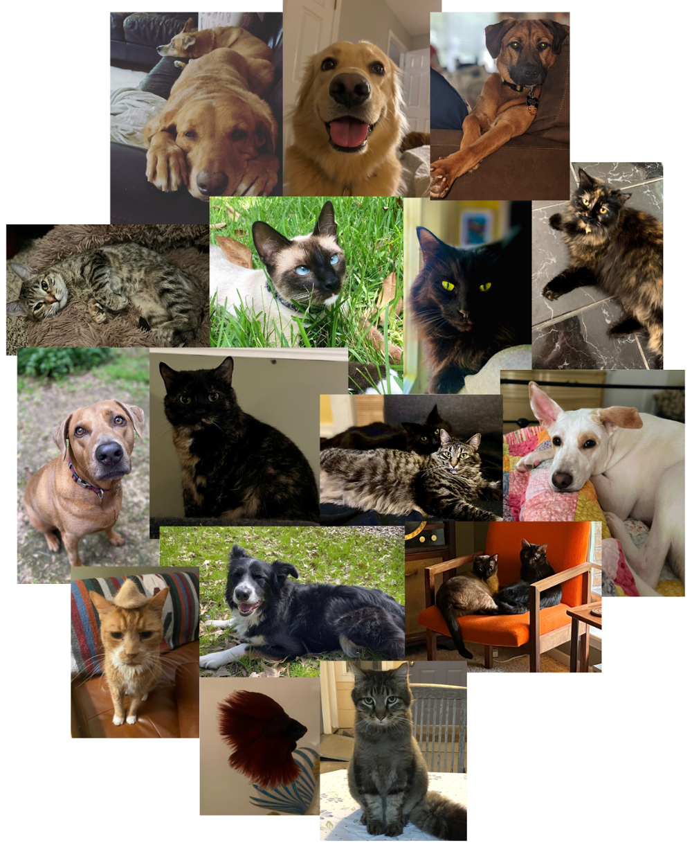 A collage of the newsletter editors' pets